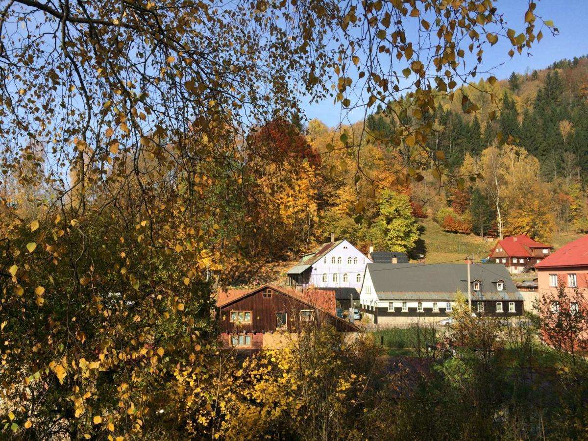 Ubytovani U Brabantika Desná Exteriör bild